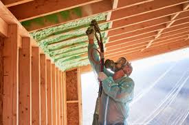 Best Insulation Removal  in Enon, VA